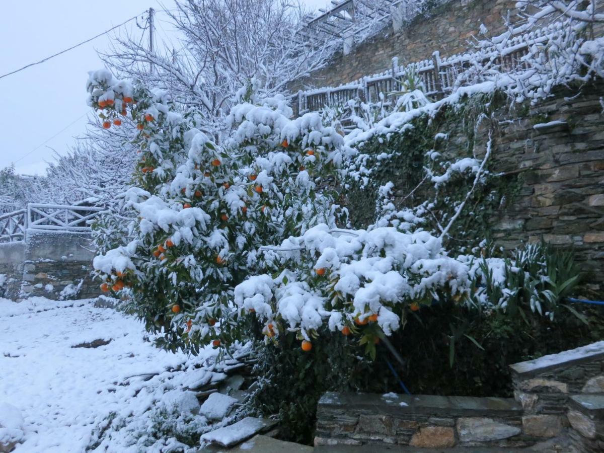 Koukourava Garden Βίλα Μακρινίτσα Εξωτερικό φωτογραφία